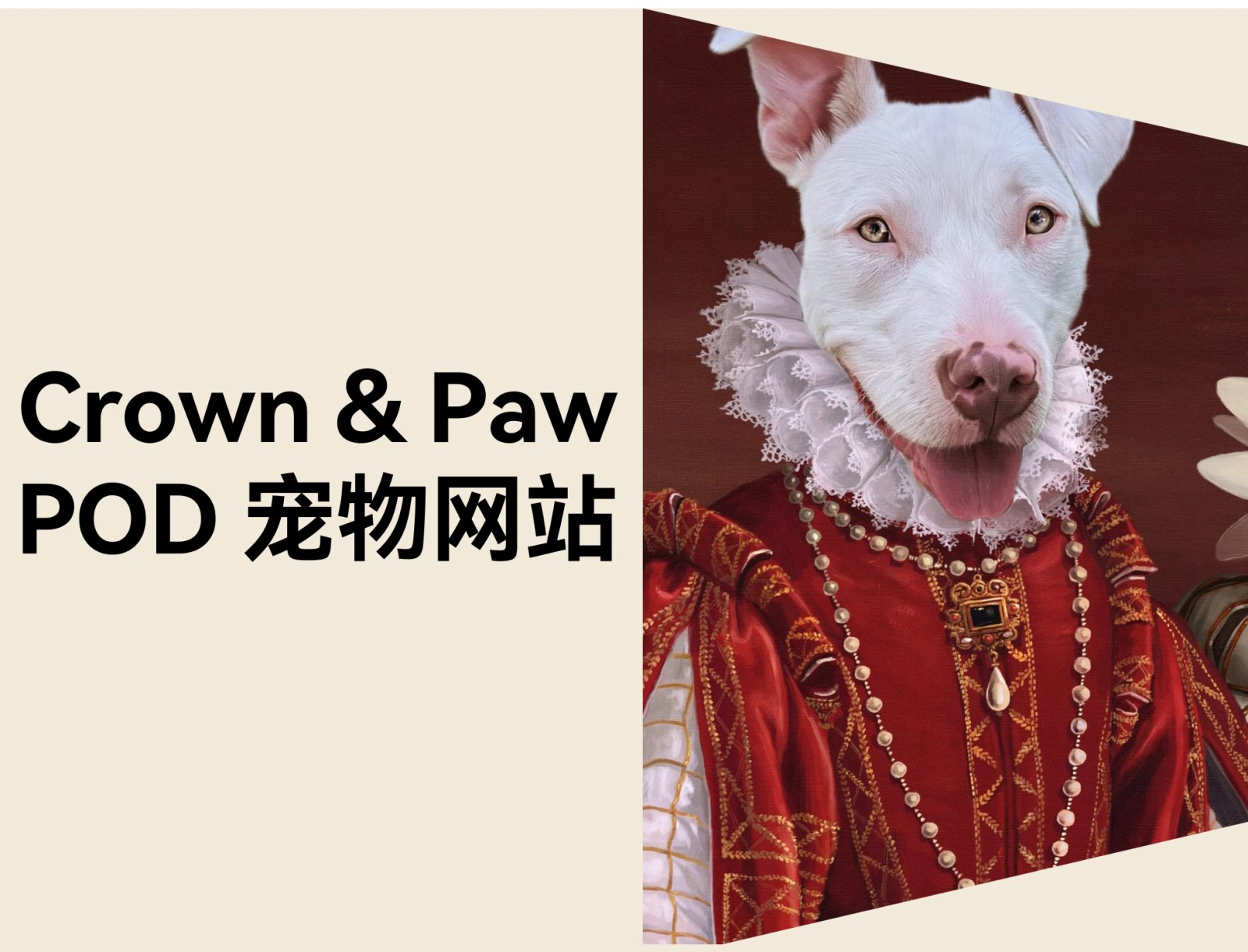 3 人团队如何用 POD 模式打造千万美金宠物独立站？Crown & Paw 的成功秘诀