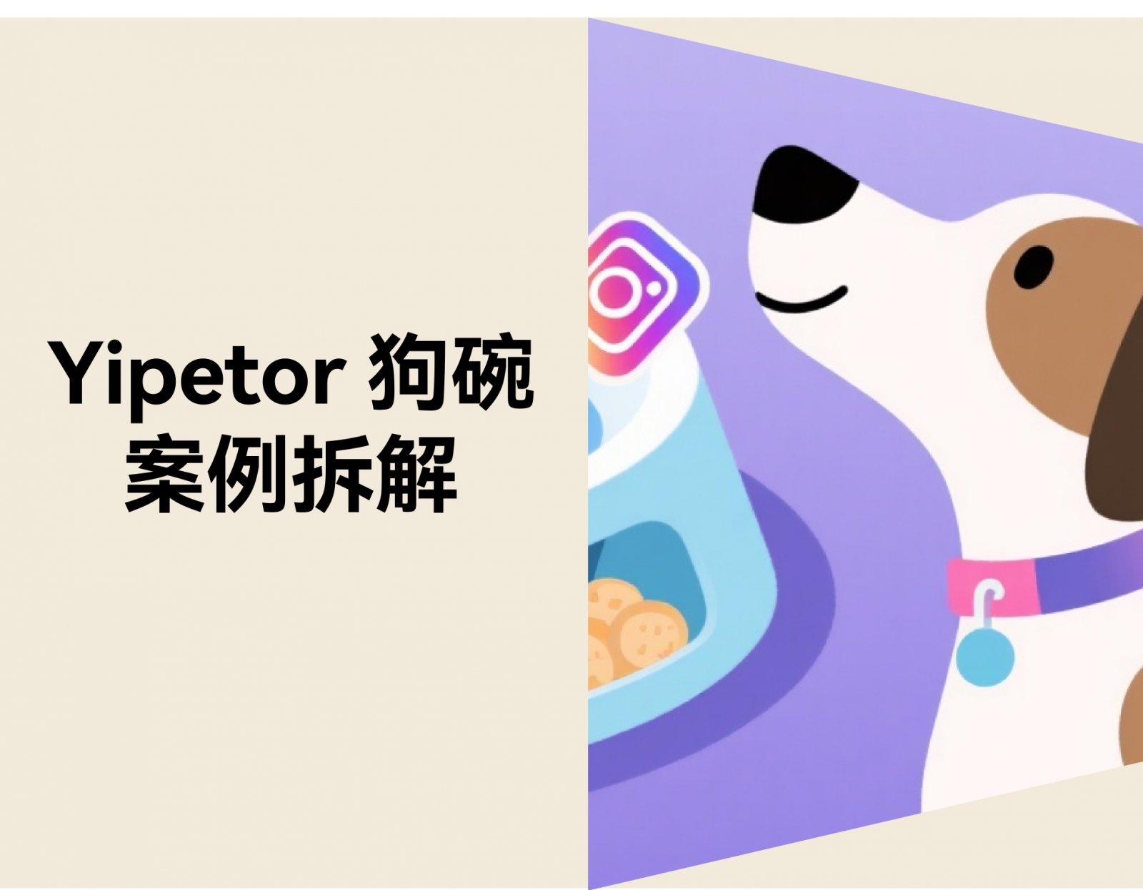 一个狗碗 3个月卖出 93 万美金：Yipetor 如何在 TikTok 做出宠物爆品