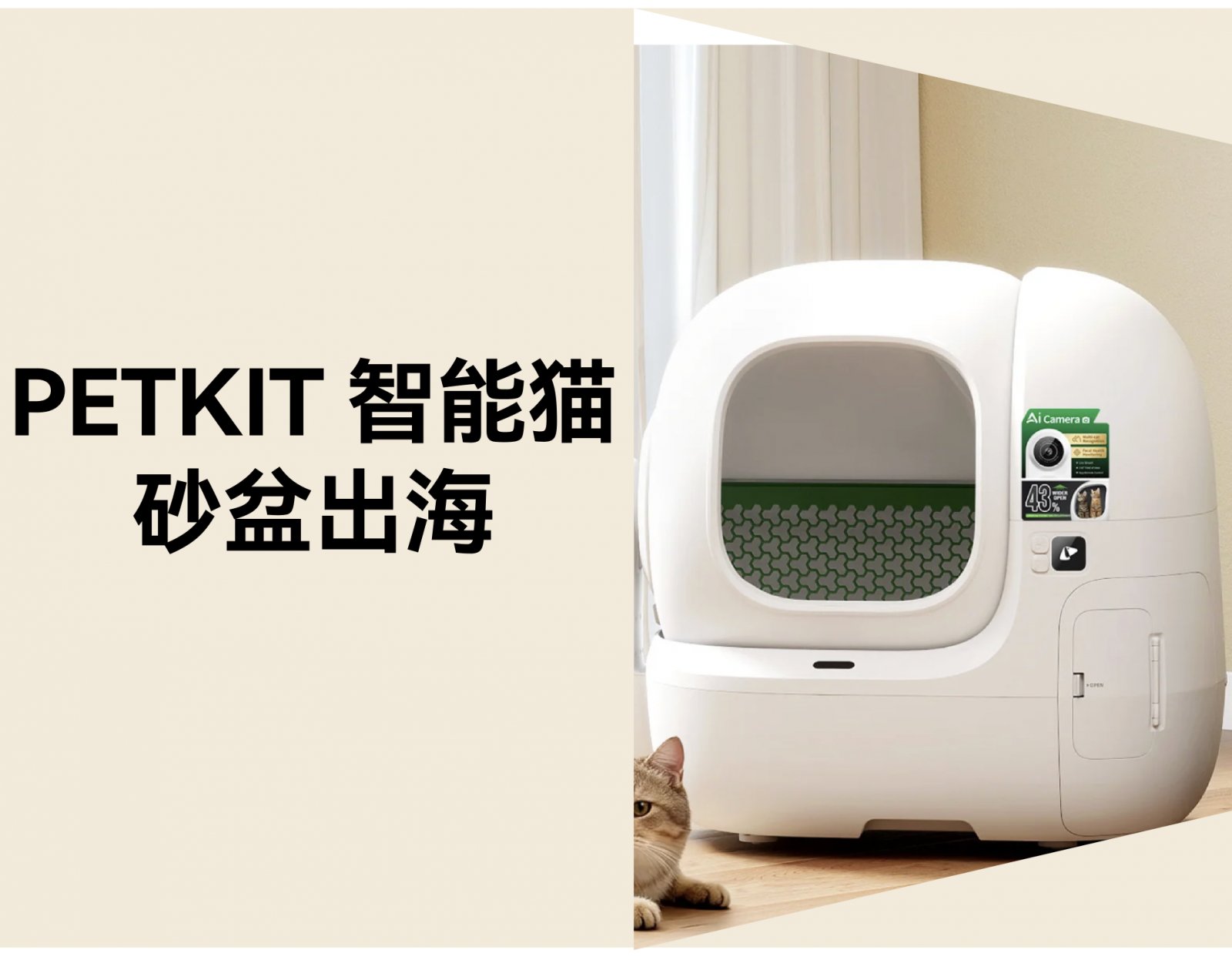 国产智能猫砂盆出海：PETKIT 年入 10 亿的溢价秘诀