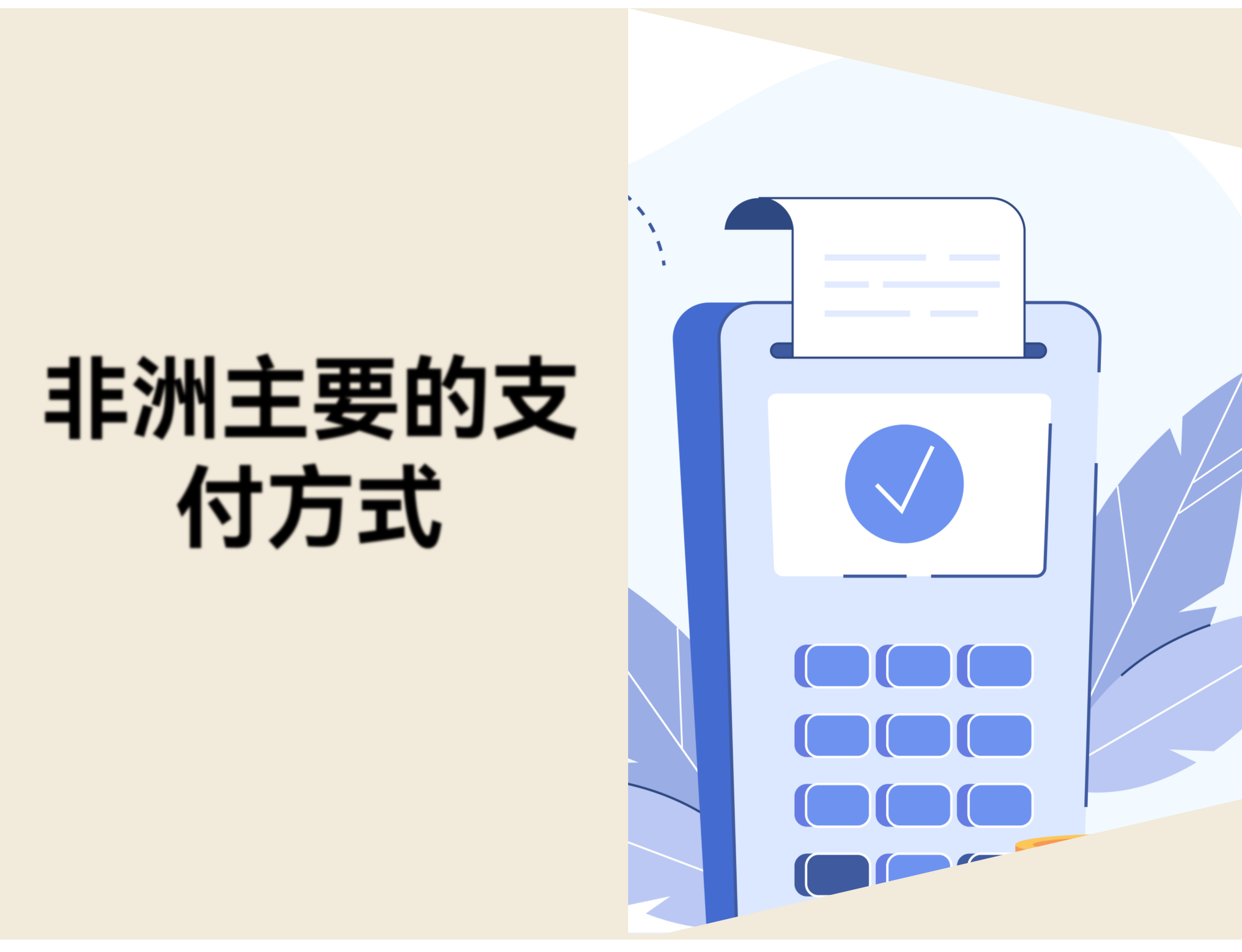 非洲市场出海指南：非洲消费者的主要支付方式