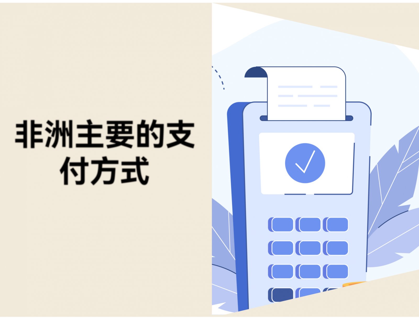 非洲市场出海指南：非洲消费者的主要支付方式