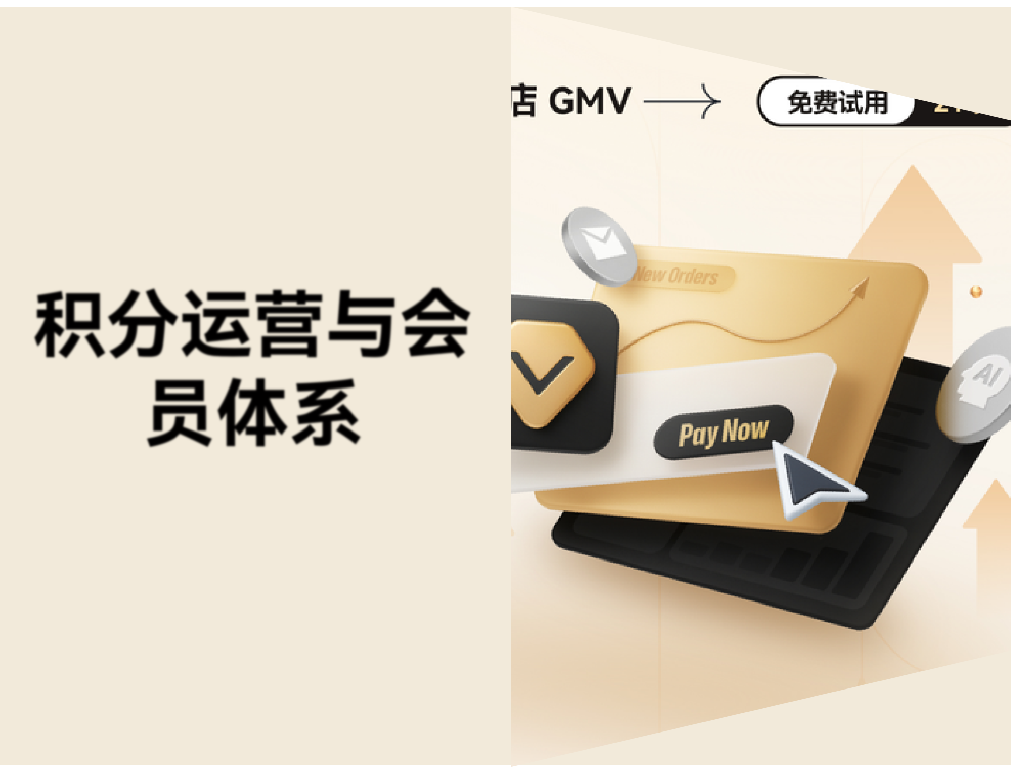 独立站会员体系怎么搭？Loyalty & Push 10 分钟完成配置