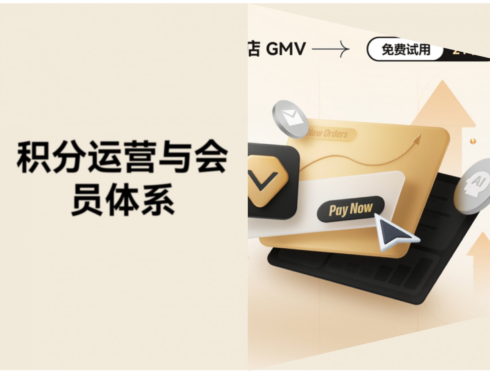 独立站会员体系怎么搭？Loyalty & Push 10 分钟完成配置