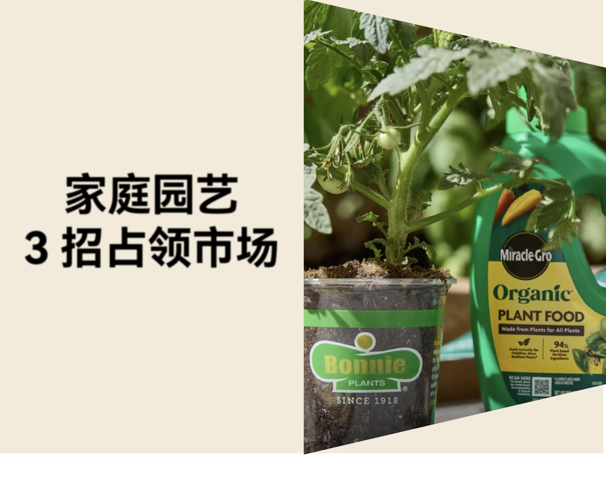 Bonnie Plants 出海案例：百年园艺品牌用内容与渠道占领美国家庭菜园市场