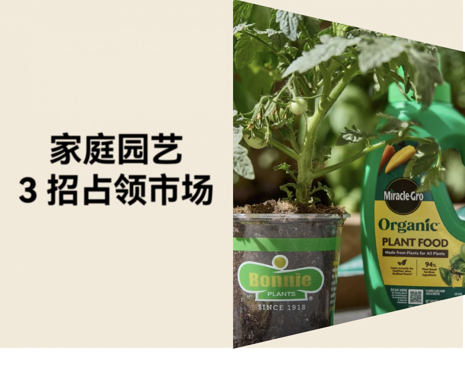 Bonnie Plants 出海案例：百年园艺品牌用内容与渠道占领美国家庭菜园市场