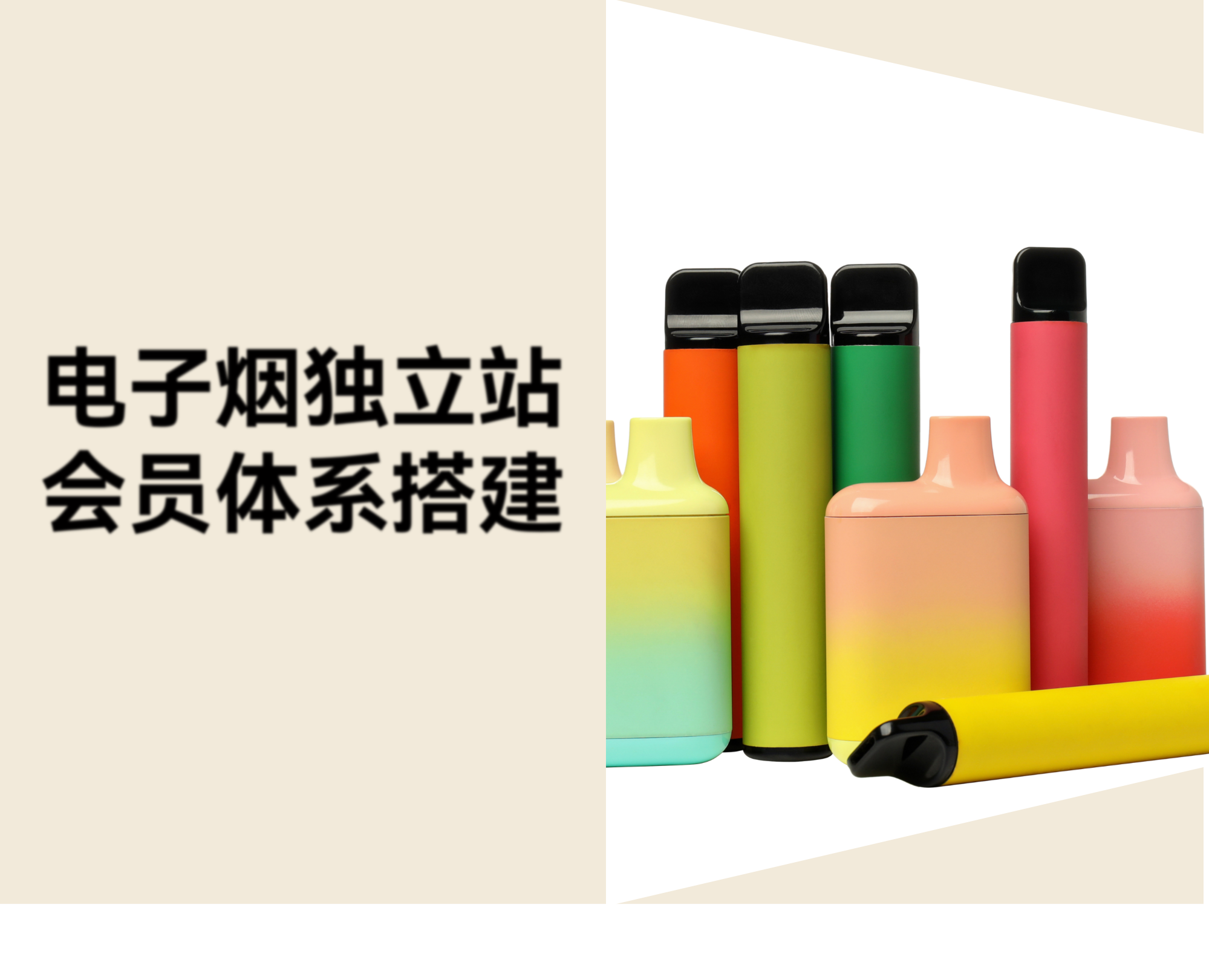 电子烟独立站的复购运营和裂变引流怎么做？AI 会员体系的玩法和搭建指南