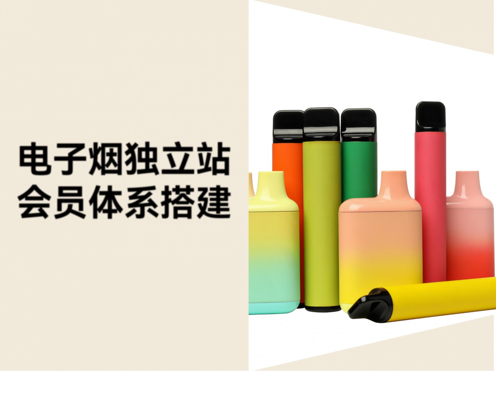 电子烟独立站的复购运营和裂变引流怎么做？AI 会员体系的玩法和搭建指南
