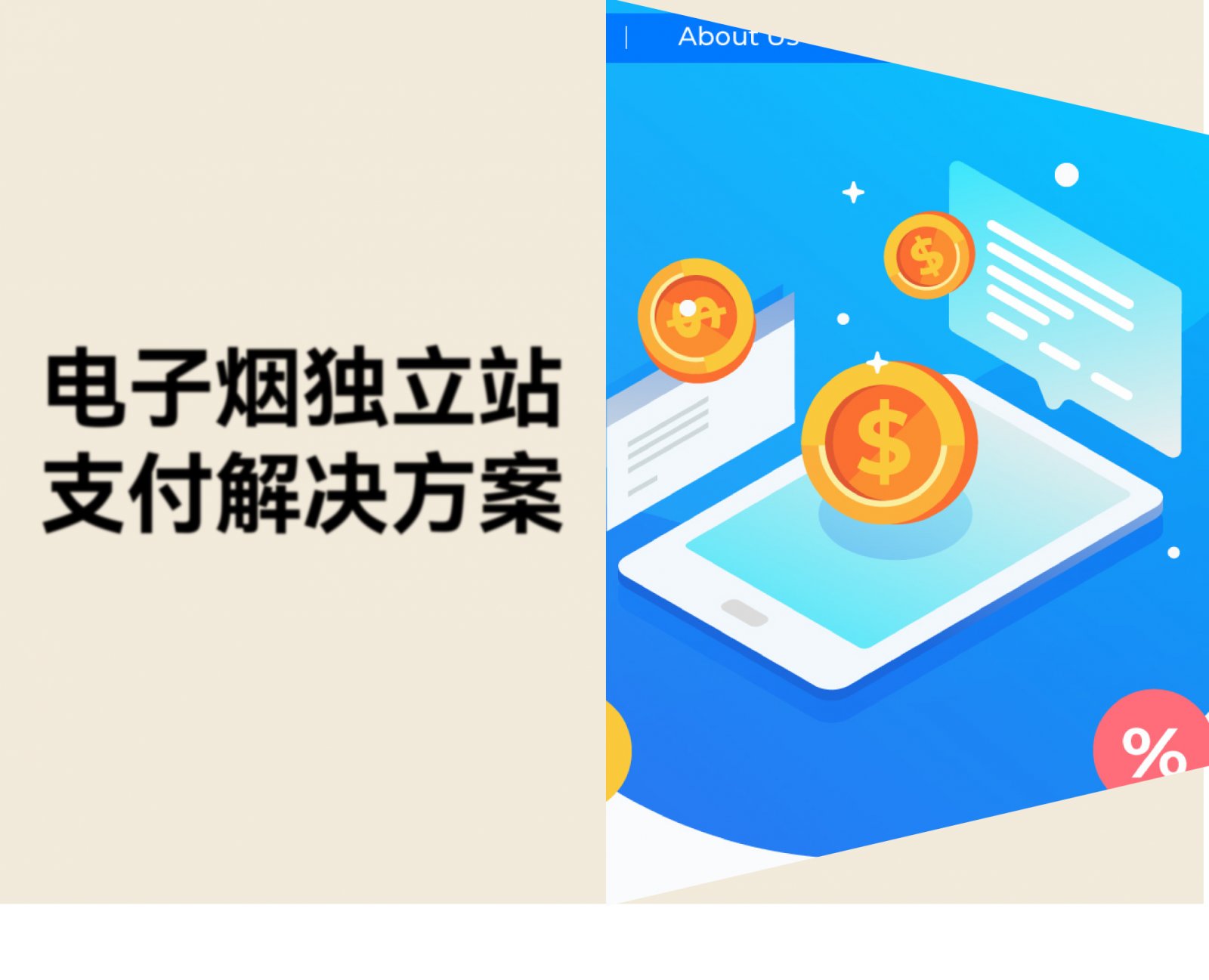 电子烟独立站怎么收款？了解合规高效的解决方案