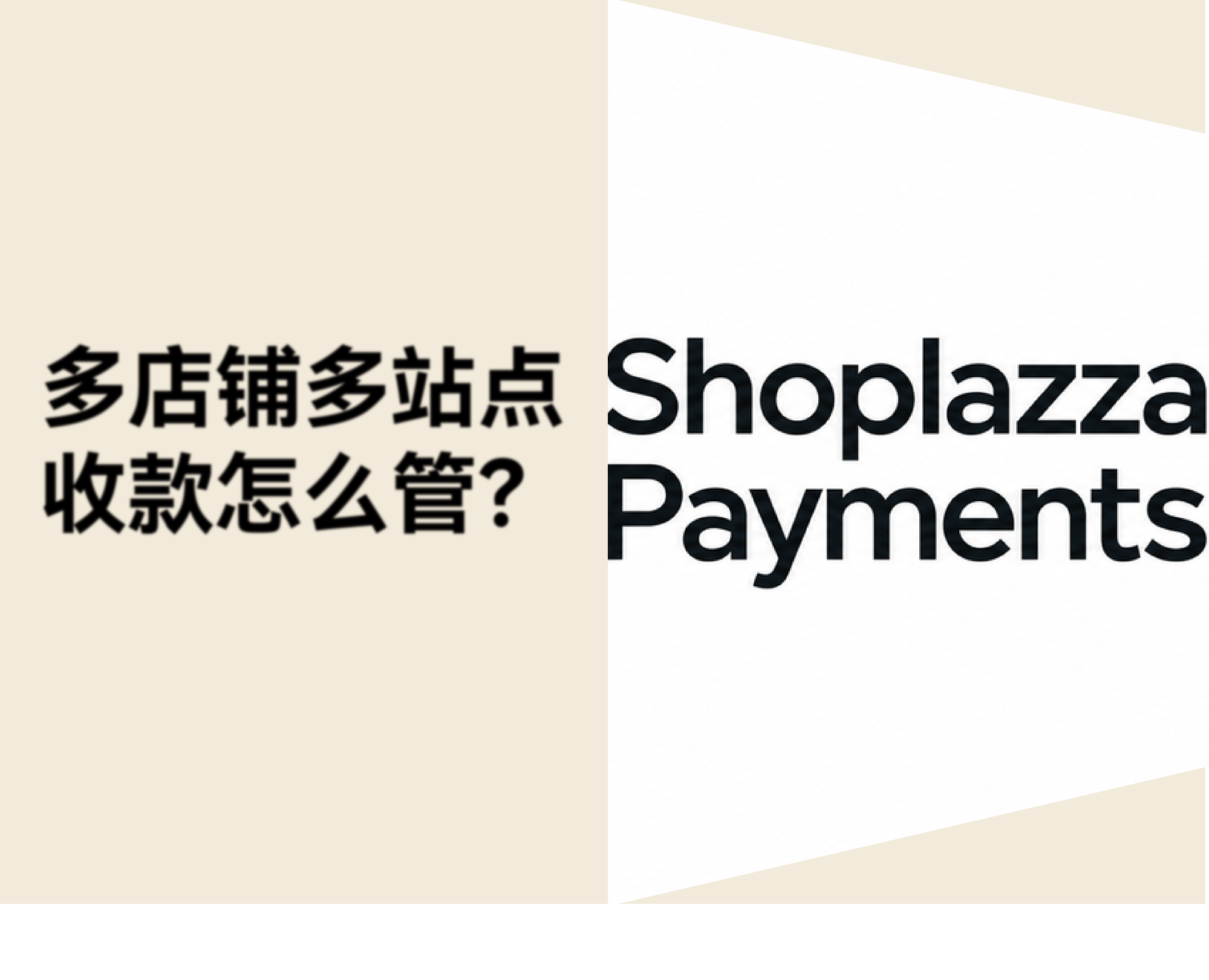 多店铺卖家旺季必看：Shoplazza Payments 升级争议管理与多币种资金展示