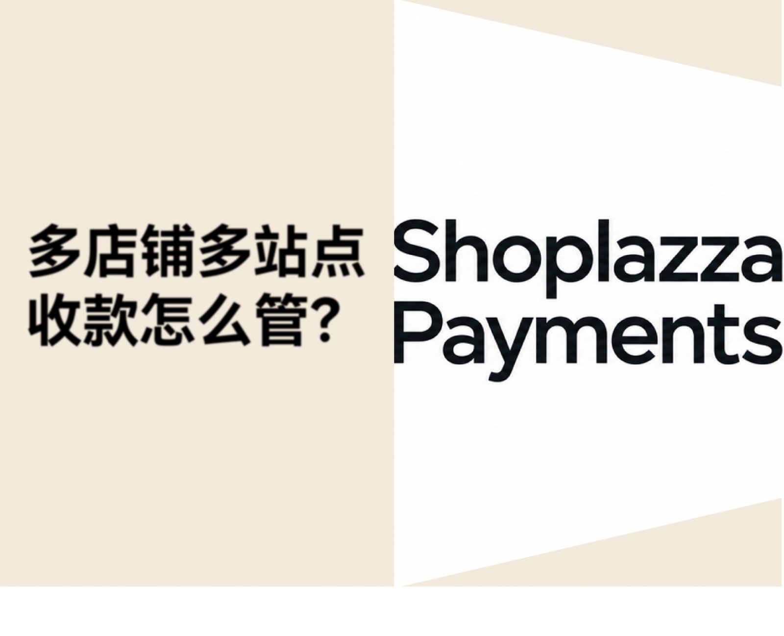 多店铺卖家旺季必看：Shoplazza Payments 升级争议管理与多币种资金展示