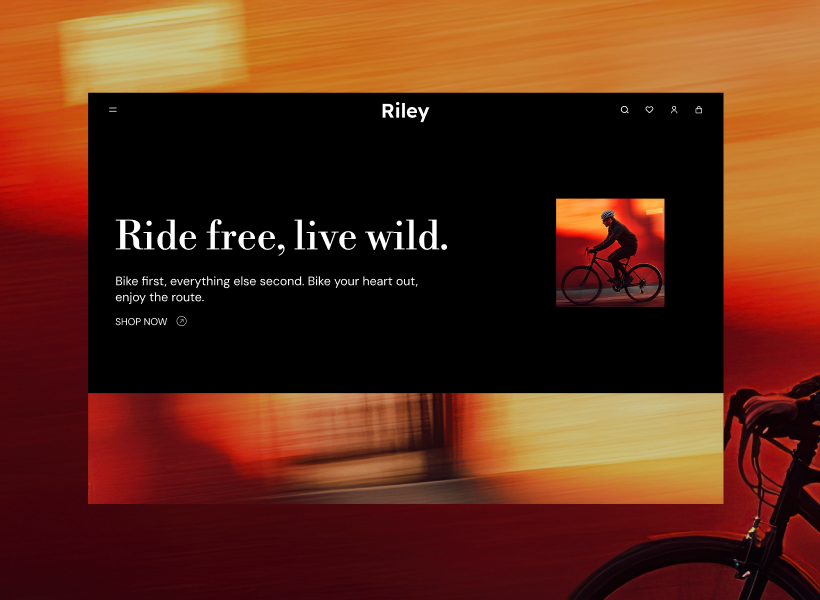 跨境独立站建站平台与电商解决方案 ｜店匠 Shoplazza