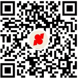 独立站建站平台 | 店匠Shoplazza